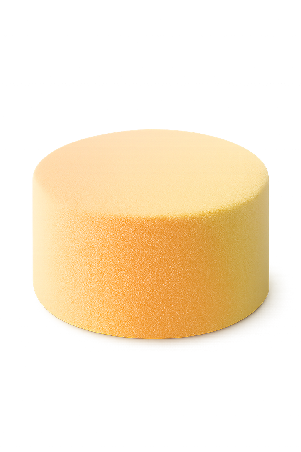 Entremet Mangue Coco Passion